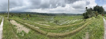 Jatiluwih Rice Terrace