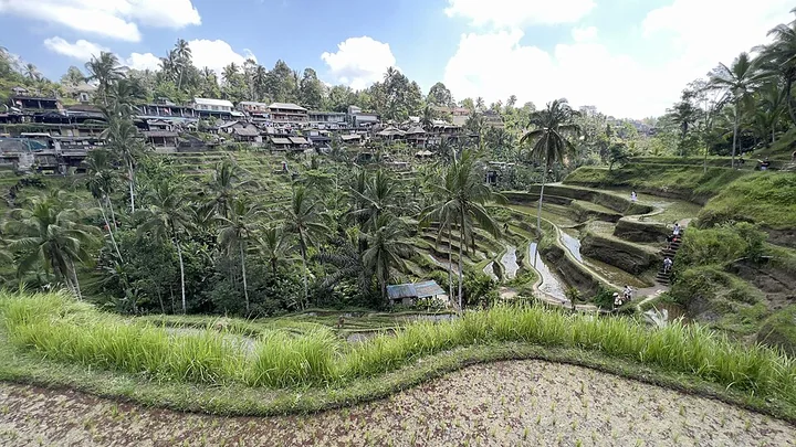 Tegallalang Rice Terraces · Bali