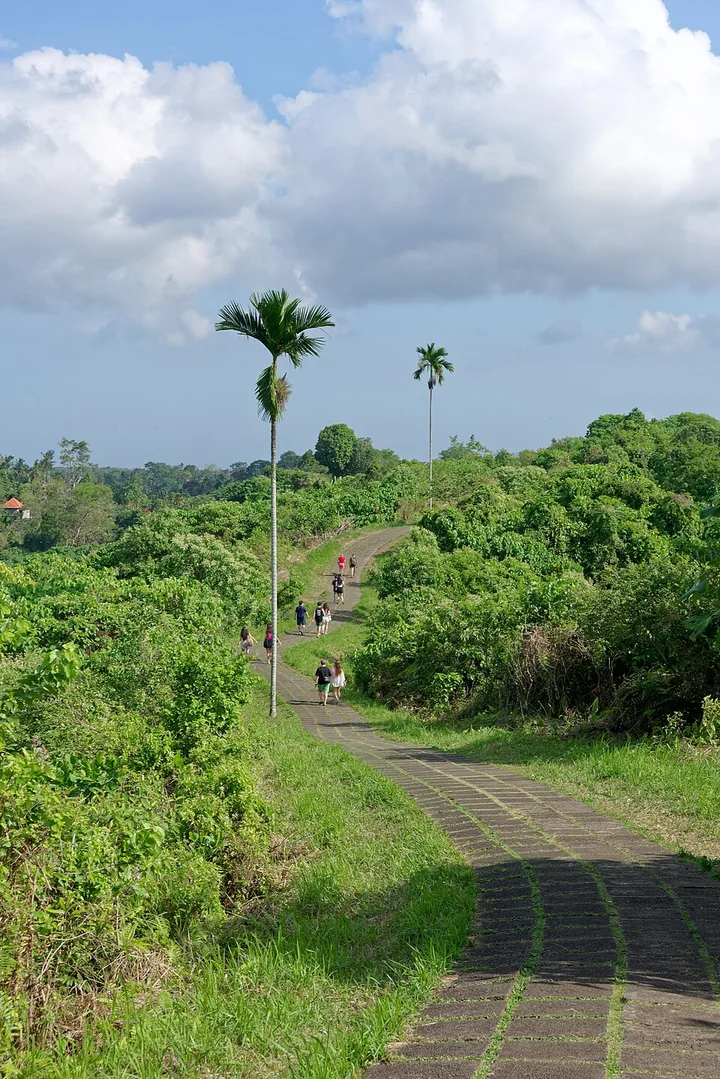 Campuhan Ridge Walk · Bali