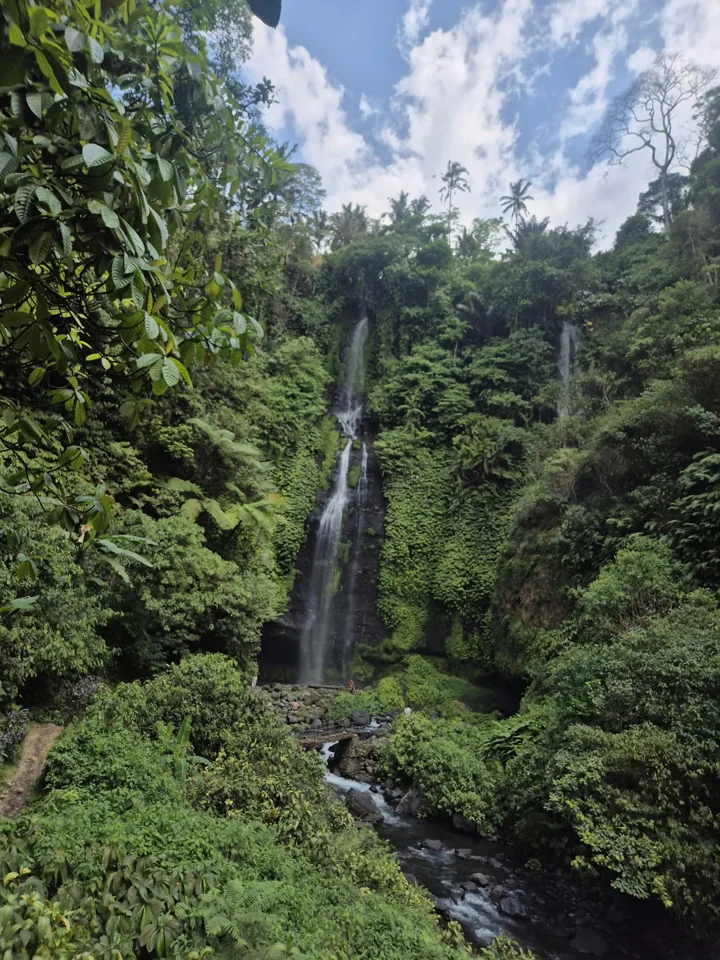 A waterfall surrounded by dense green vegetation